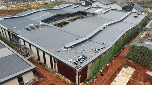 年末集中發(fā)力 遂寧這些項(xiàng)目進(jìn)度再刷新